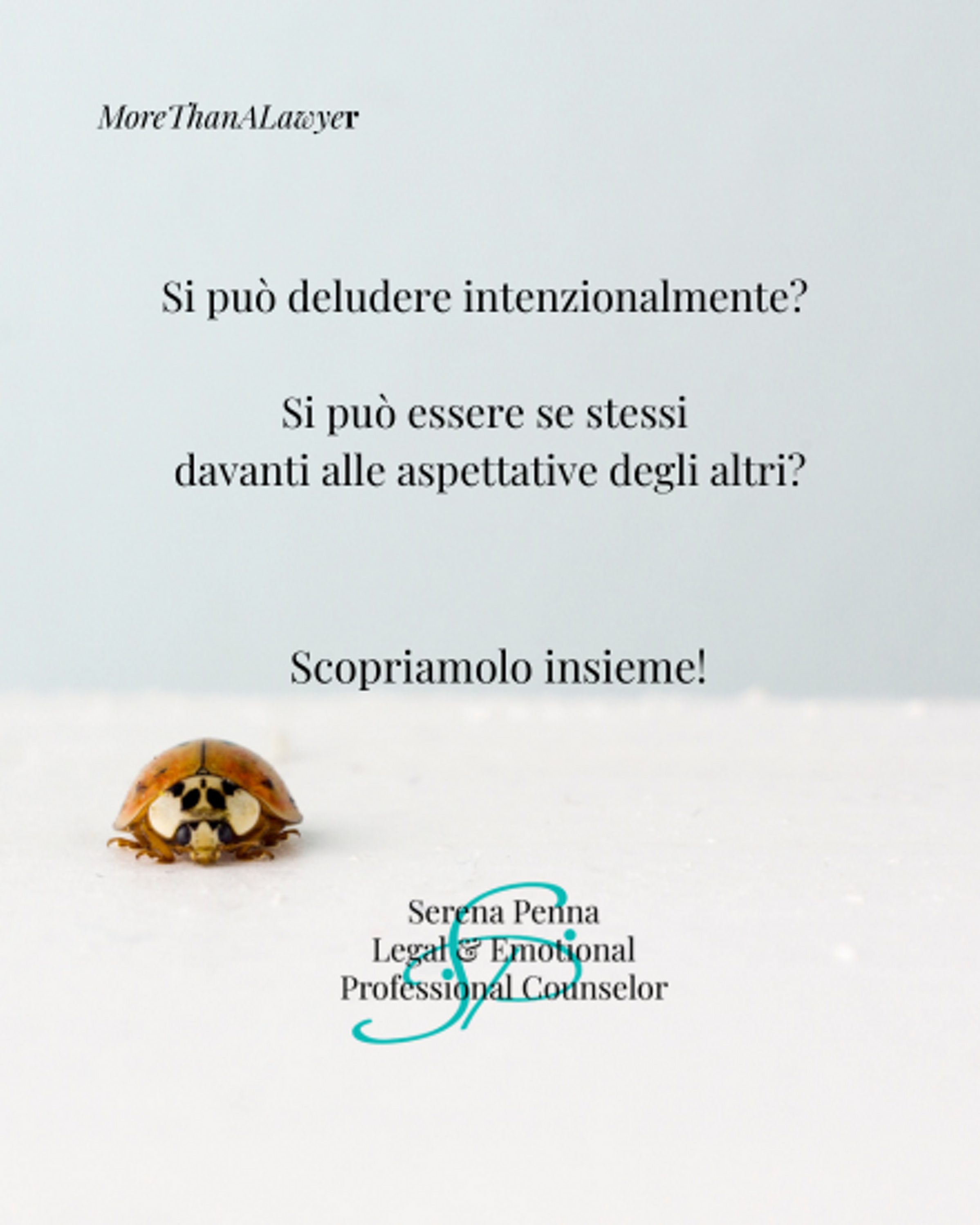 26 aprile 2026.png